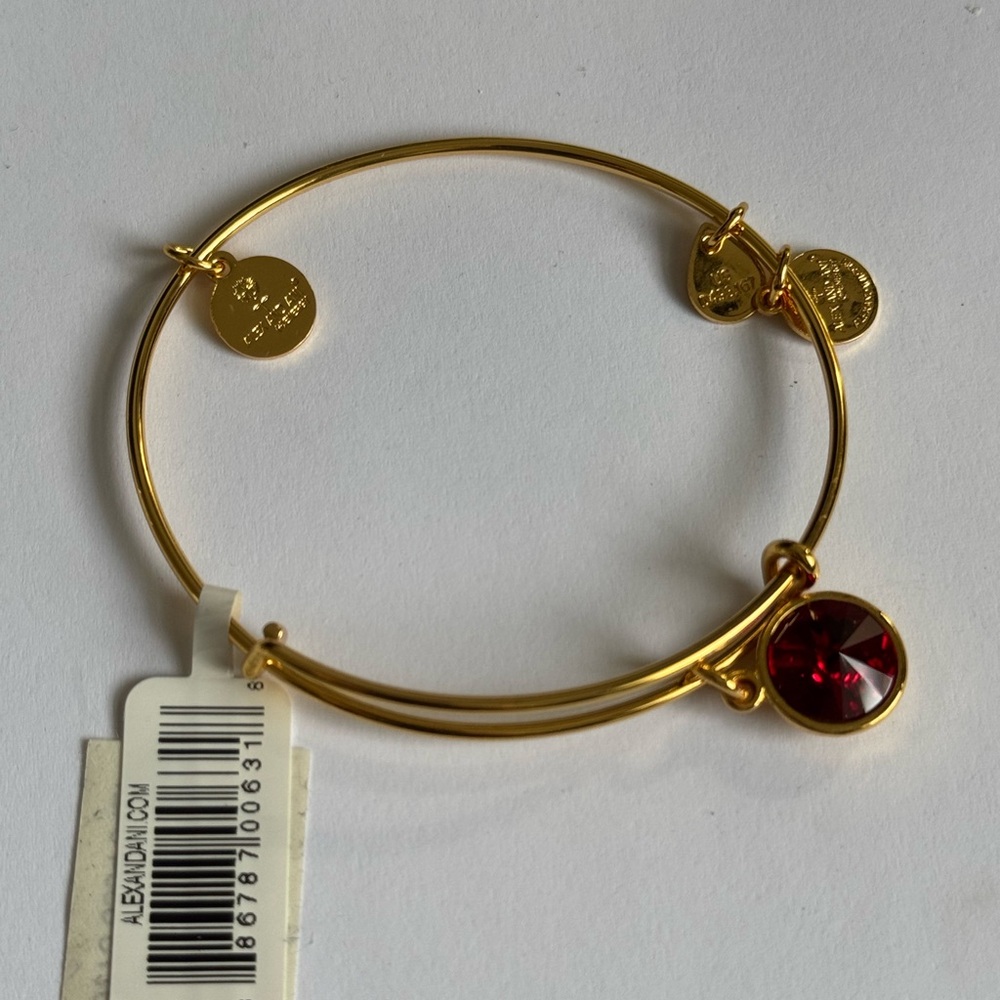 Alex and Ani January Birthstone Charm Bangle, new with tags